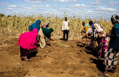 Livelihood & Food Security
